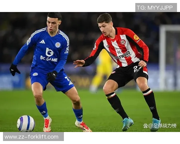 波黑足球明星盘点及其在国际赛场上的精彩表现与成就