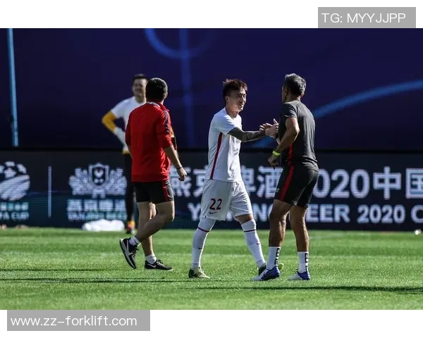 南京苏宁足球小镇规划全景解析助力城市发展与足球文化融合