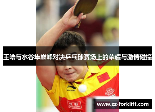 王皓与水谷隼巅峰对决乒乓球赛场上的荣耀与激情碰撞
