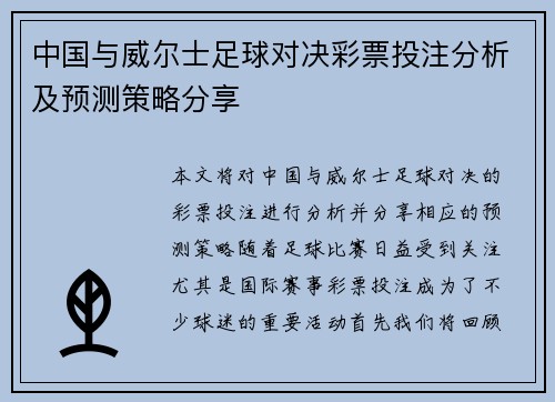 中国与威尔士足球对决彩票投注分析及预测策略分享