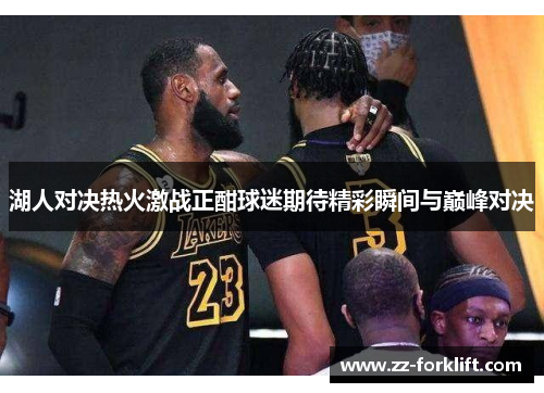 湖人对决热火激战正酣球迷期待精彩瞬间与巅峰对决
